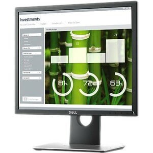 Dell 19 Monitor P1917S