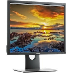 Dell 19 Monitor P1917S