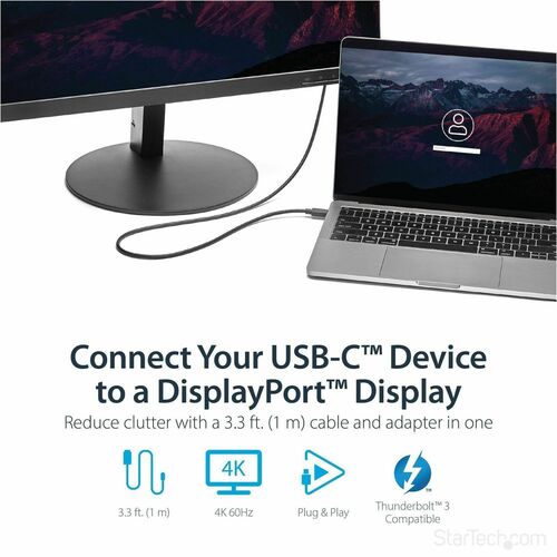 1M USB-C TO DP ADAPTER CABLE - 4K 60 HZ