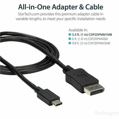 1M USB-C TO DP ADAPTER CABLE - 4K 60 HZ