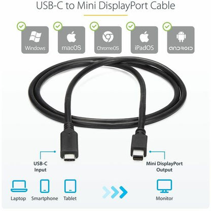 CABLE USB C TO MINI DISPLAYPORT 1M / 3FT