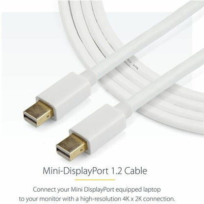 2M 6 FT WHITE MINI DISPLAYPORT CABLE M/M