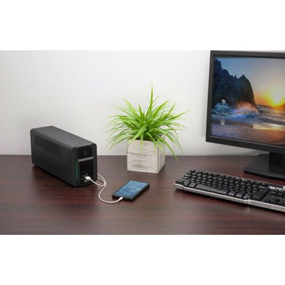 APC Easy Back-UPS 700VA 230V AVR USB C