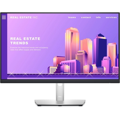 Dell 24 Monitor - P2422H