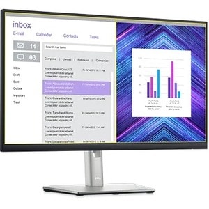 Dell 24 Monitor - P2422H