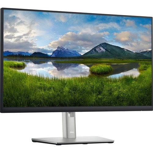 Dell 24 Monitor - P2422H