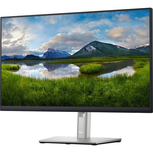 Dell 24 Monitor - P2422H