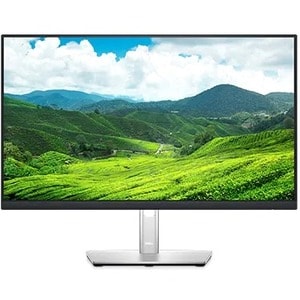 Dell 24 Monitor - P2422H