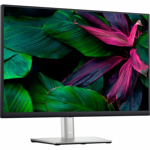 Dell 24 Monitor - P2423