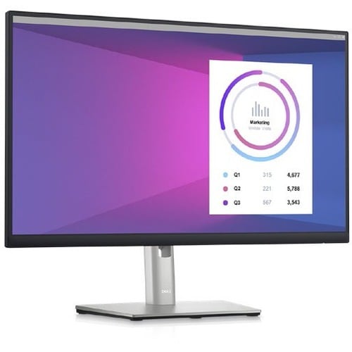 Dell 24 Monitor - P2423DE