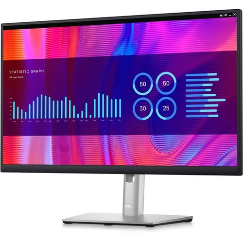 Dell 24 Monitor - P2423DE