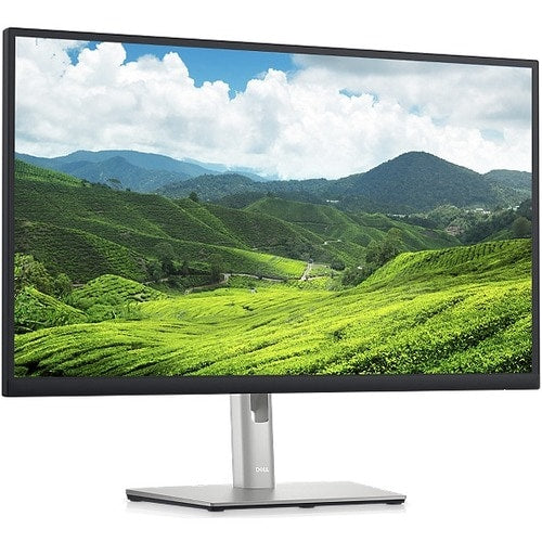 Dell 24 Monitor - P2423DE