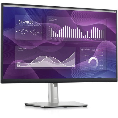 Dell 24 Monitor - P2423DE