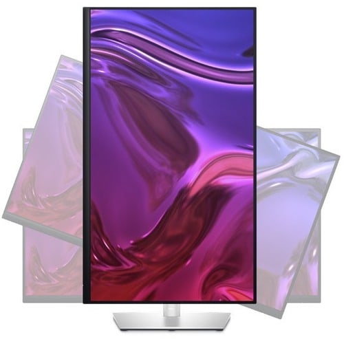 Dell 24 Monitor - P2423DE