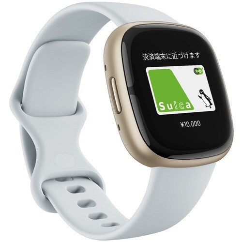 Fitbit Sense 2 Blue Mist/Pale Gold