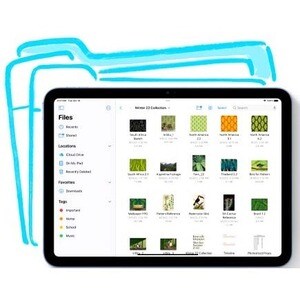 IPAD WF CL 256GB BLUE-E&E