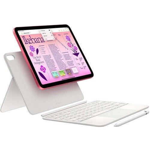 IPAD WF CL 256GB PINK-E&E