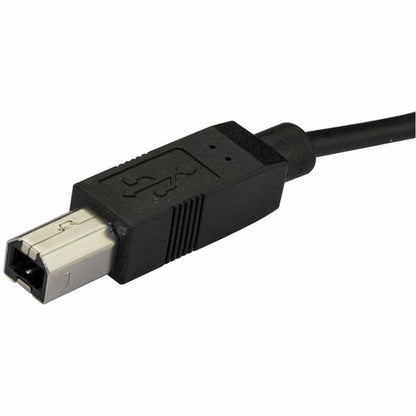 2m 6ft USB C to USB B Cable - USB 2.0