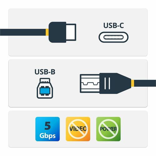 2m 6ft USB C to USB B Cable - USB 3.0