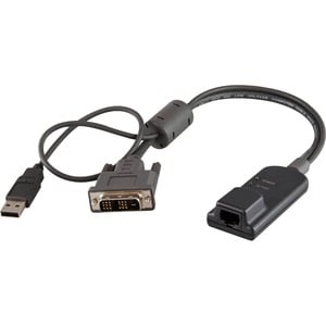 Server Interface Module for DVI video