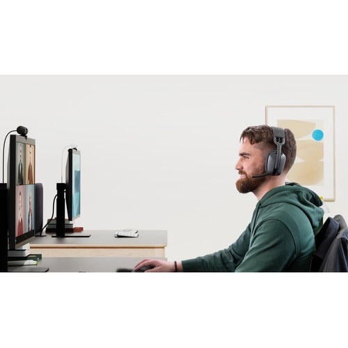 Graphite Zone Vibe Wireless (UC version)