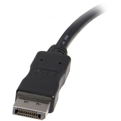 10ft DisplayPort to DVI Video Converter