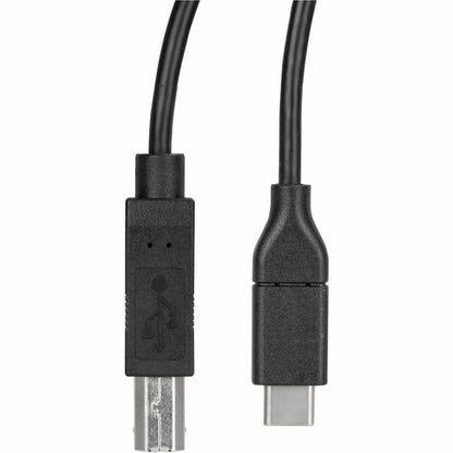 3m 10 ft USB C to USB B Cable - USB 2.0