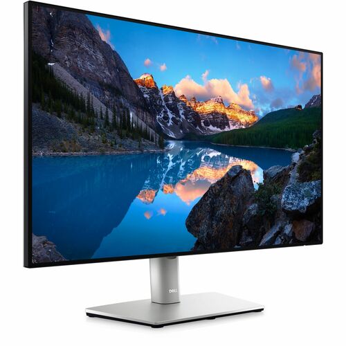 Dell UltraSharp 24 Monitor - U2421E