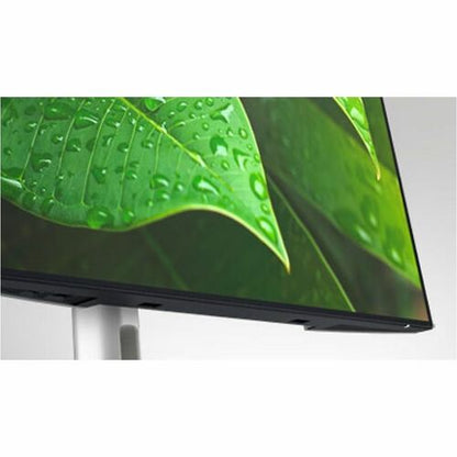 Dell UltraSharp 24 Monitor - U2421E