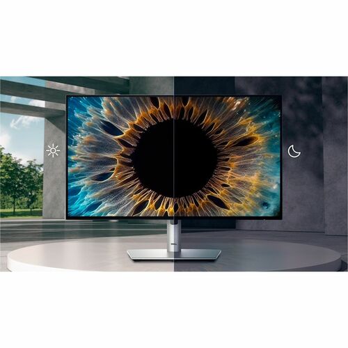 DELL 24 MONITOR # U2424HE