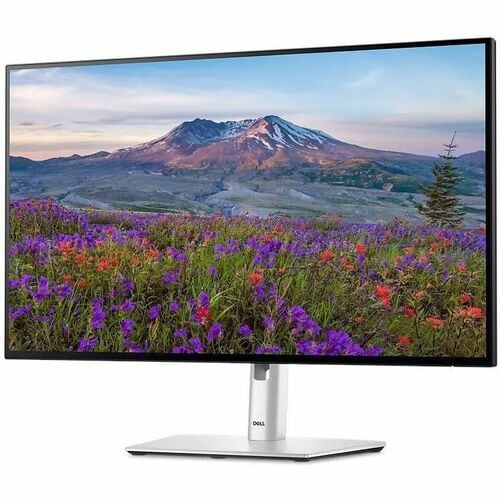 DELL 24 MONITOR # U2424HE