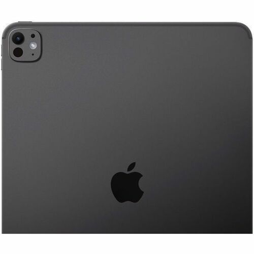 IPAD PRO 13 WF CL 2TB SP BLK-E&E