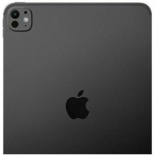 IPAD PRO 11 WF CL 256GB SP BLK-E&E