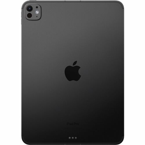 IPAD PRO 11 WF CL 256GB SP BLK-E&E