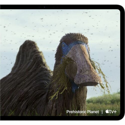 IPAD PRO 11 WF CL 1TB SP BLK-E&E