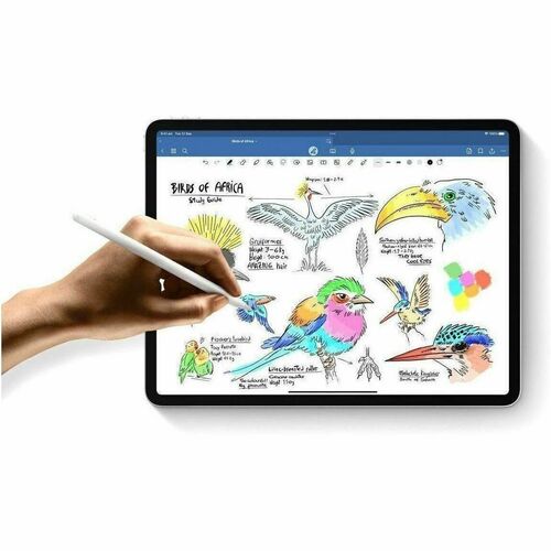 IPAD PRO 13 WF CL 256GB SILVER-E&E