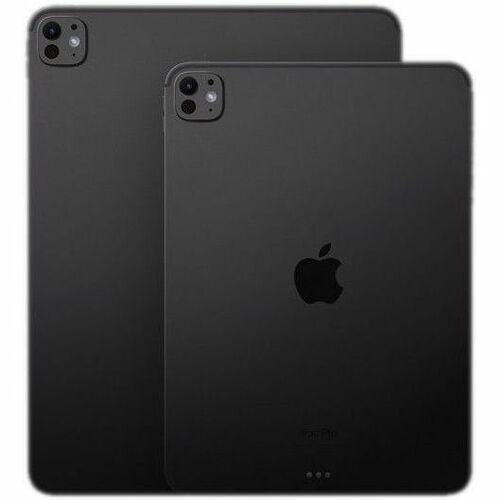 IPAD PRO 13 WF CL 256GB SP BLK-E&E