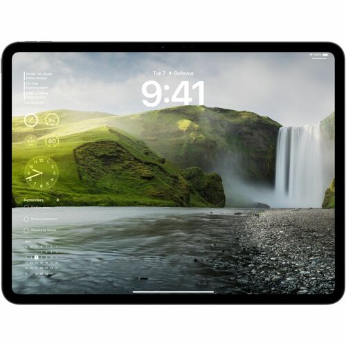 IPAD PRO 13 WF CL 256GB SP BLK-E&E