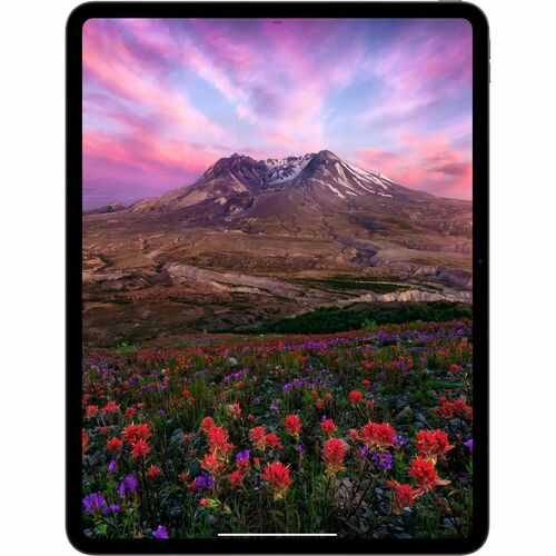 IPAD PRO 13 WF CL 2TB SP BLK NT-E&E