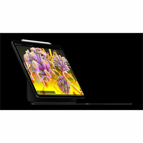 IPAD PRO 13 WF CL 1TB SP BLK-E&E