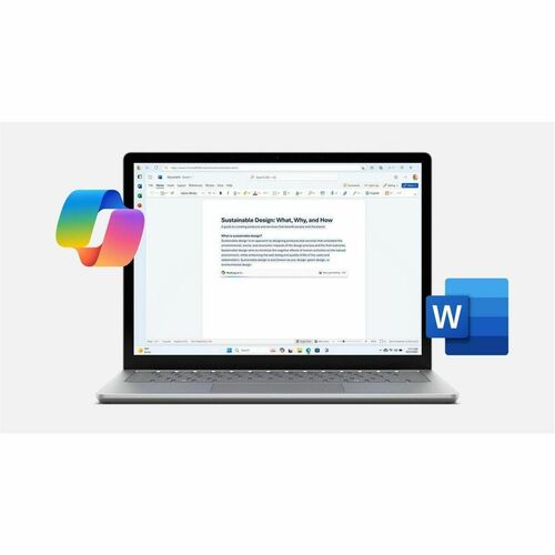 Surface Laptop 6 13in U5/8/256CM WIN11 P